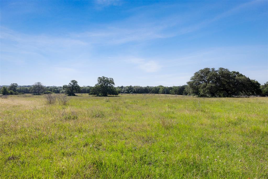 4431 Boulton Creek Rd Rd, Muldoon, Texas image 3