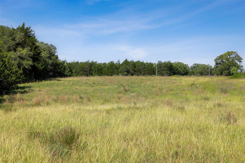 4431 Boulton Creek Rd Rd, Muldoon, Texas image 5