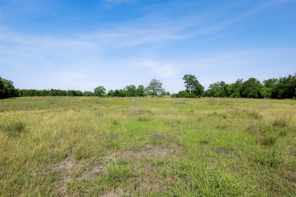 4431 Boulton Creek Rd Rd, Muldoon, Texas image 4