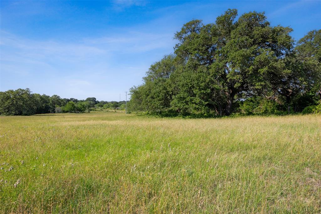 4431 Boulton Creek Rd Rd, Muldoon, Texas image 2