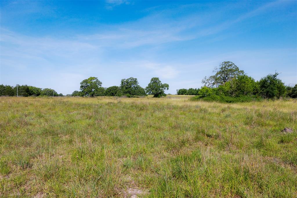4431 Boulton Creek Rd Rd, Muldoon, Texas image 13