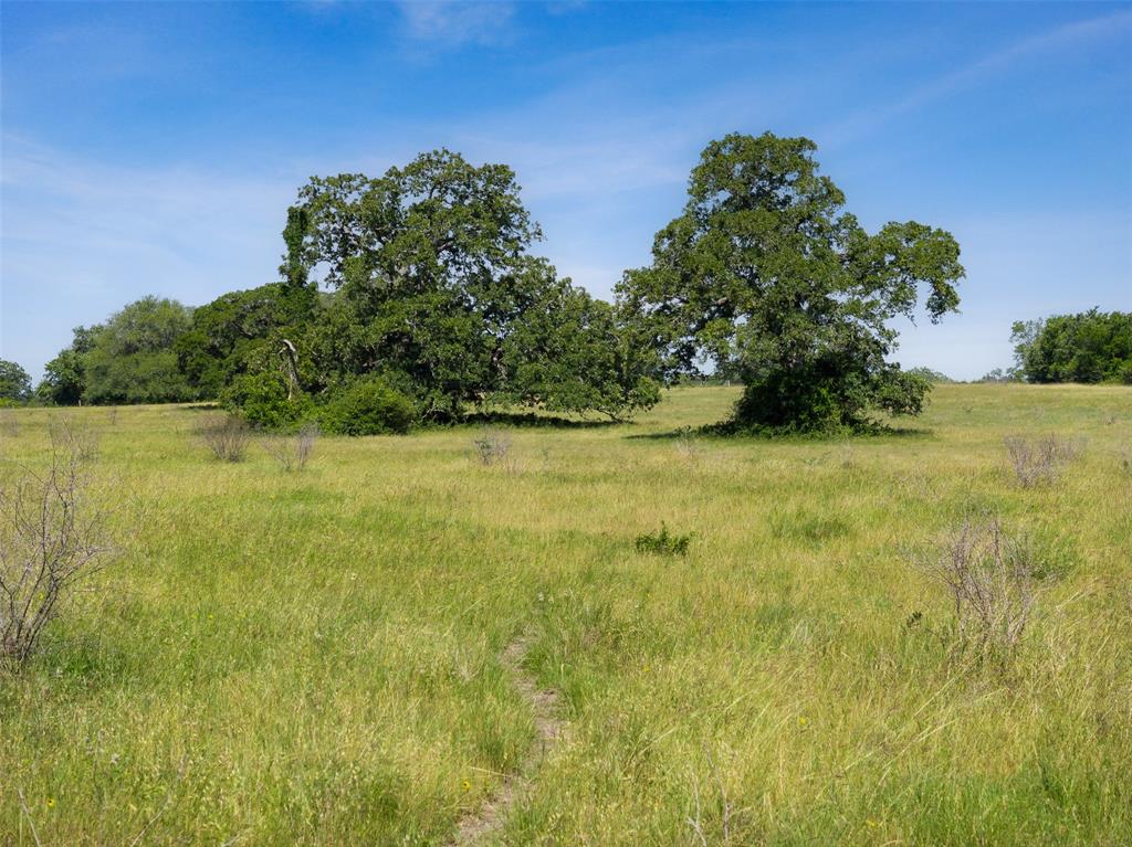 4431 Boulton Creek Rd Rd, Muldoon, Texas image 27