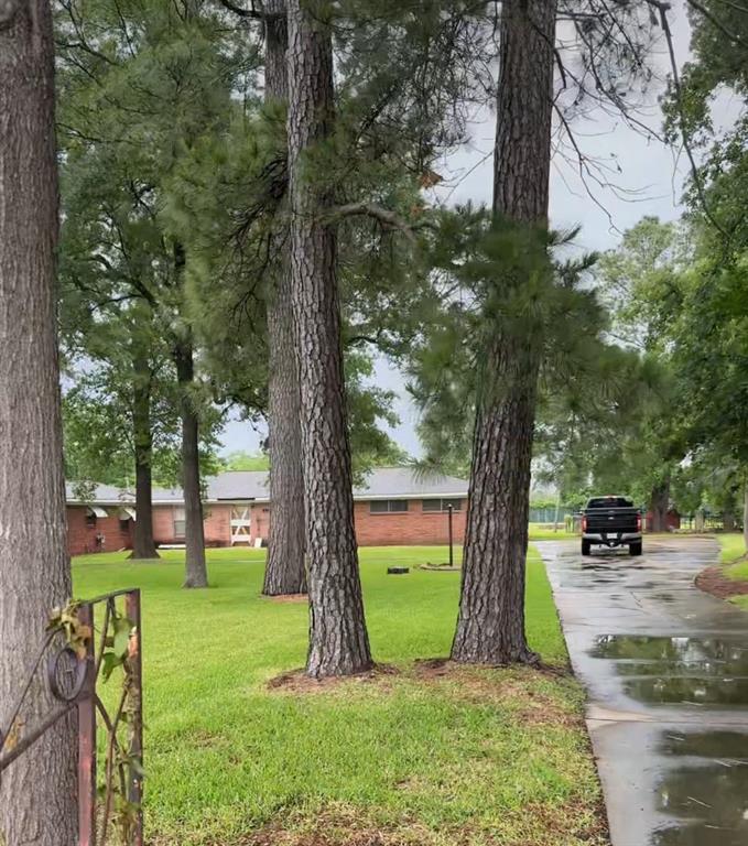 12420 Wallisville Road