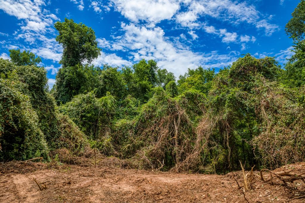 TBD (34.148 Acres) Pryor Road Esmt, Brookshire, Texas image 21