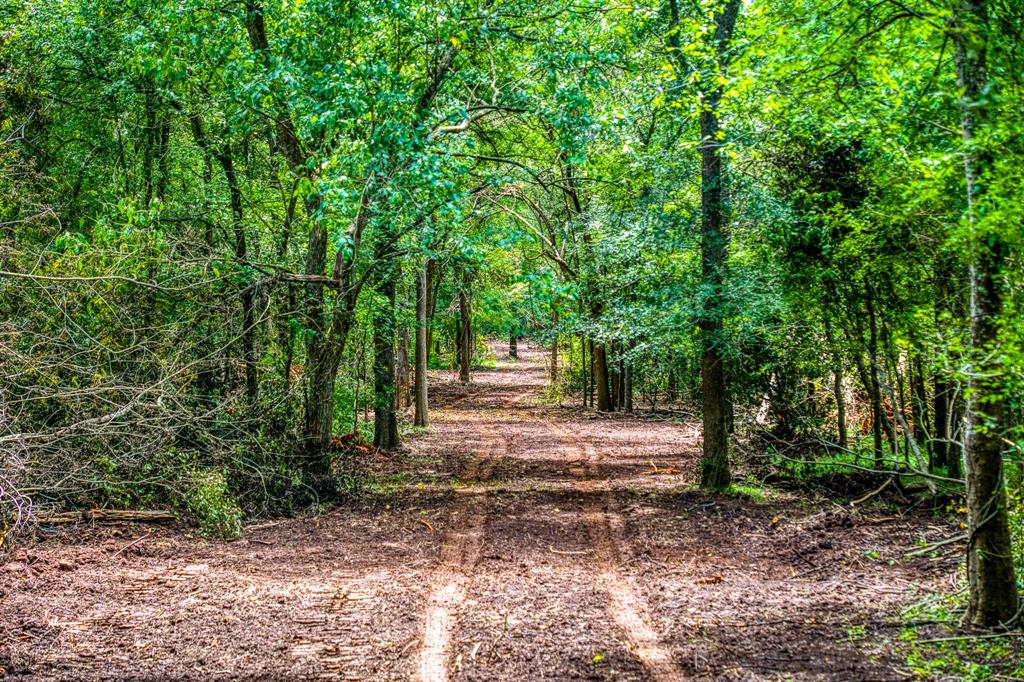 TBD (34.148 Acres) Pryor Road Esmt, Brookshire, Texas image 28