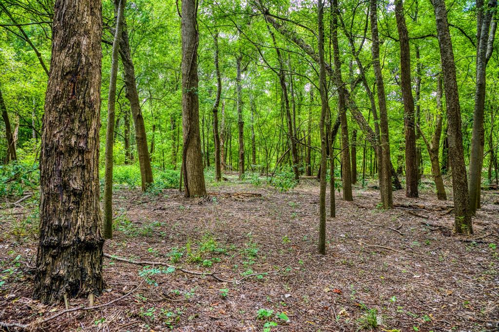 TBD (34.148 Acres) Pryor Road Esmt, Brookshire, Texas image 14