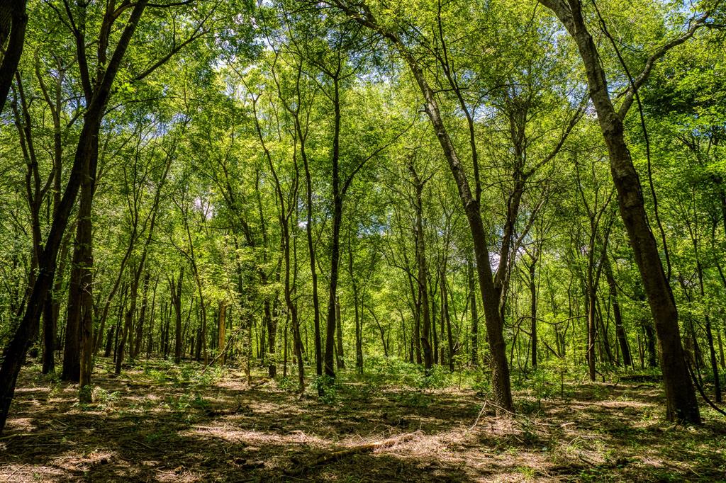 TBD (34.148 Acres) Pryor Road Esmt, Brookshire, Texas image 26