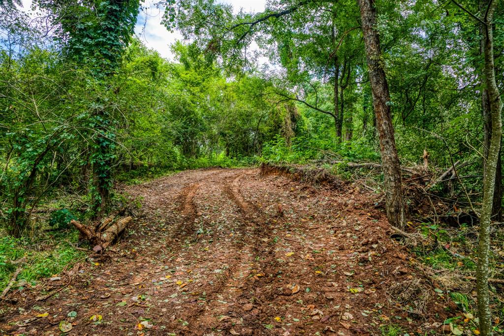 TBD (34.148 Acres) Pryor Road Esmt, Brookshire, Texas image 10