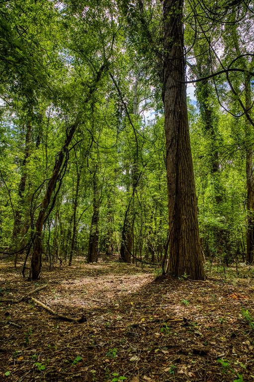 TBD (34.148 Acres) Pryor Road Esmt, Brookshire, Texas image 17