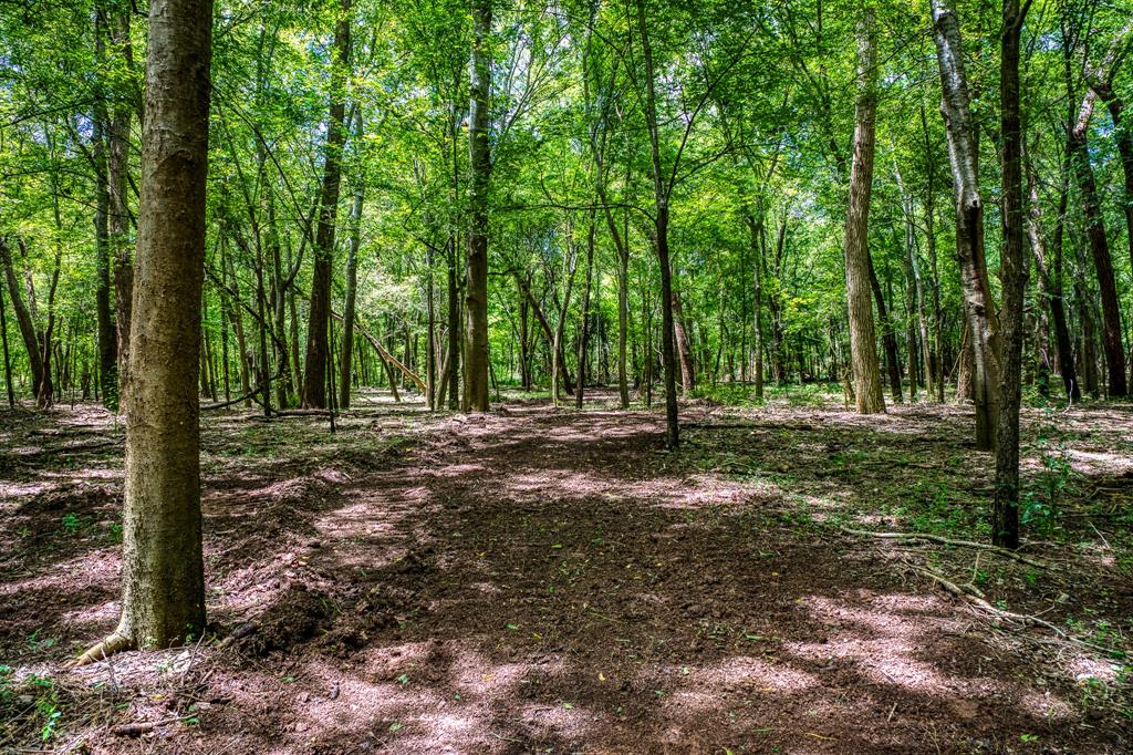 TBD (34.148 Acres) Pryor Road Esmt, Brookshire, Texas image 25