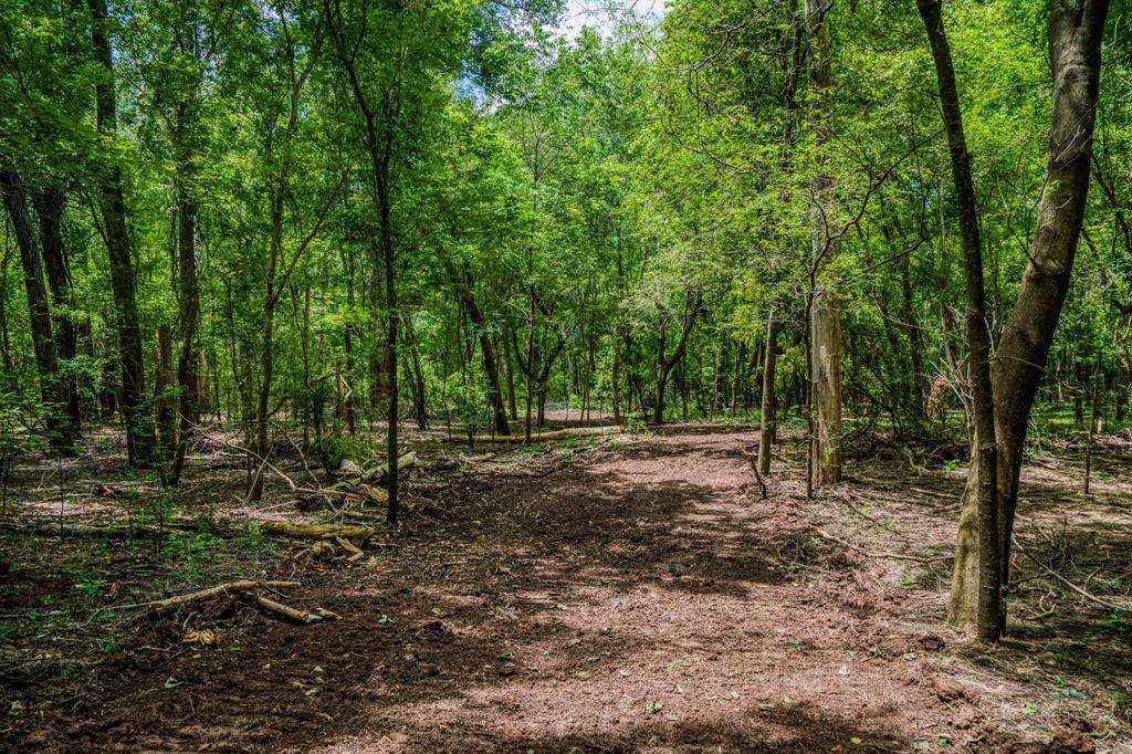 TBD (34.148 Acres) Pryor Road Esmt, Brookshire, Texas image 19