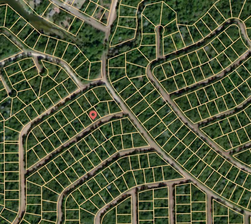 Lot 13 Blue Jay, Normangee, Texas image 3
