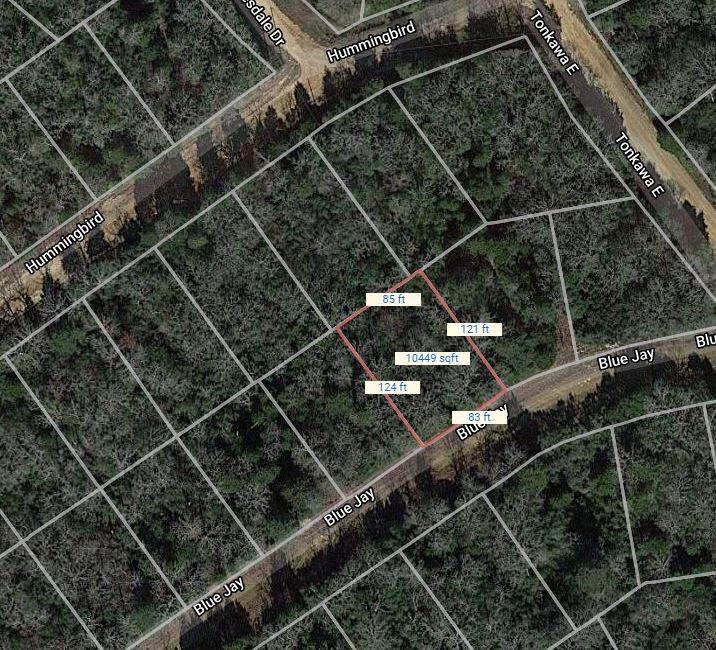 Lot 13 Blue Jay, Normangee, Texas image 2