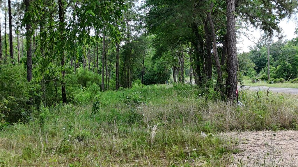 TBD FM 350 South Tract 8, Livingston, Texas image 6