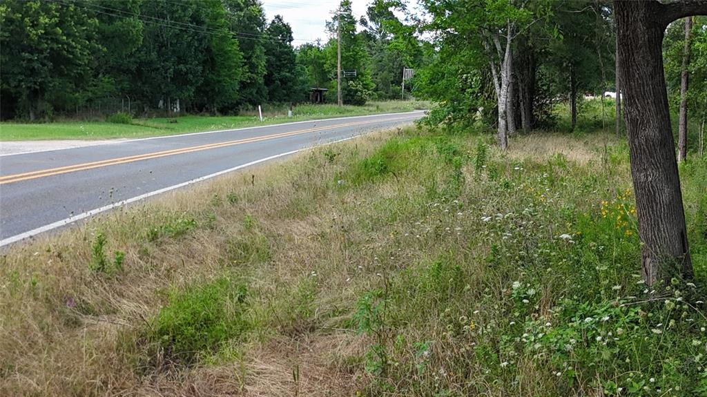 TBD FM 350 South Tract 8, Livingston, Texas image 8