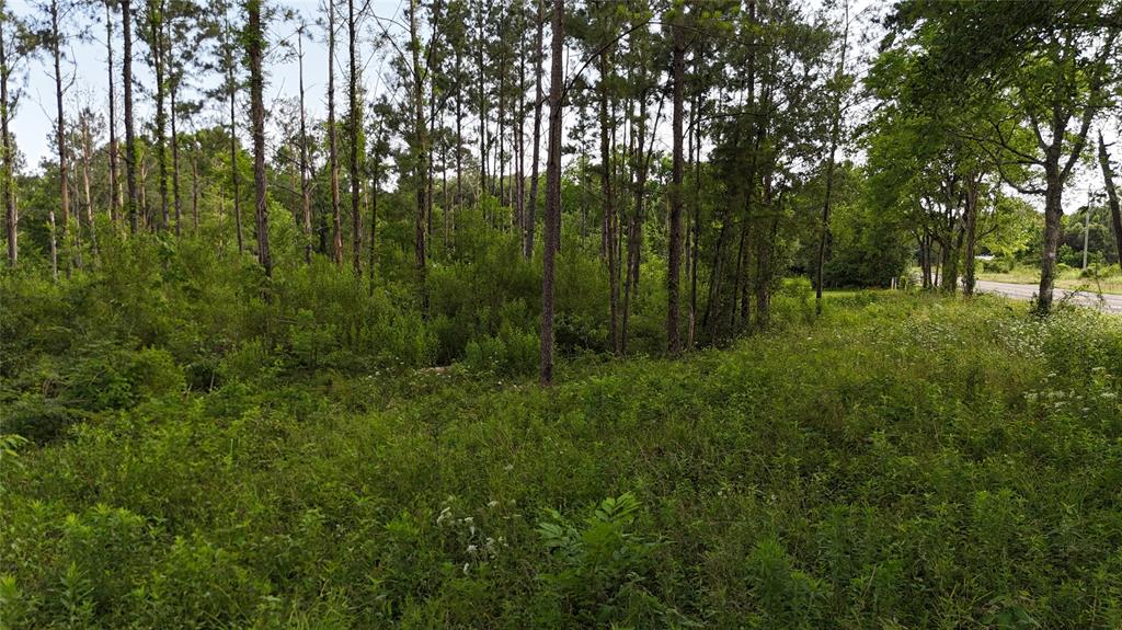 TBD FM 350 South Tract 8, Livingston, Texas image 11