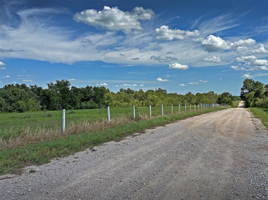 - Heinecke Road, Washington, Texas image 7