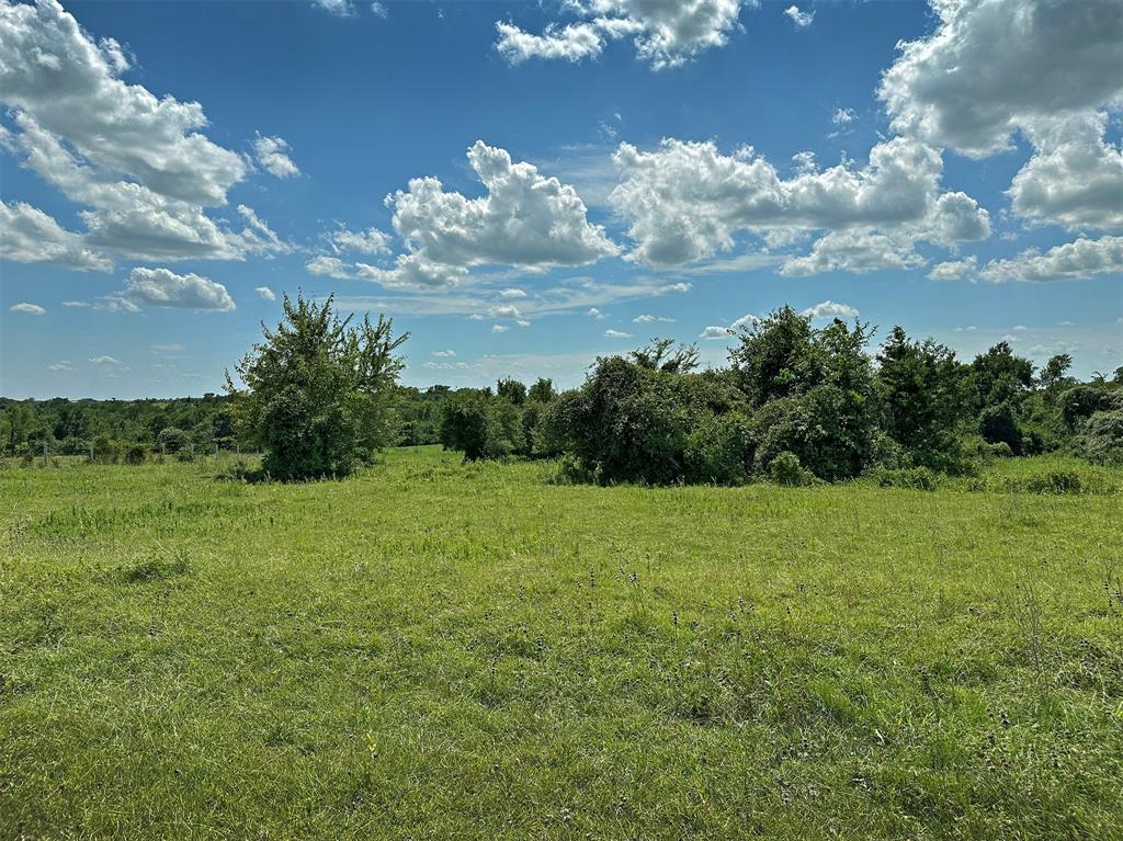 - Heinecke Road, Washington, Texas image 14