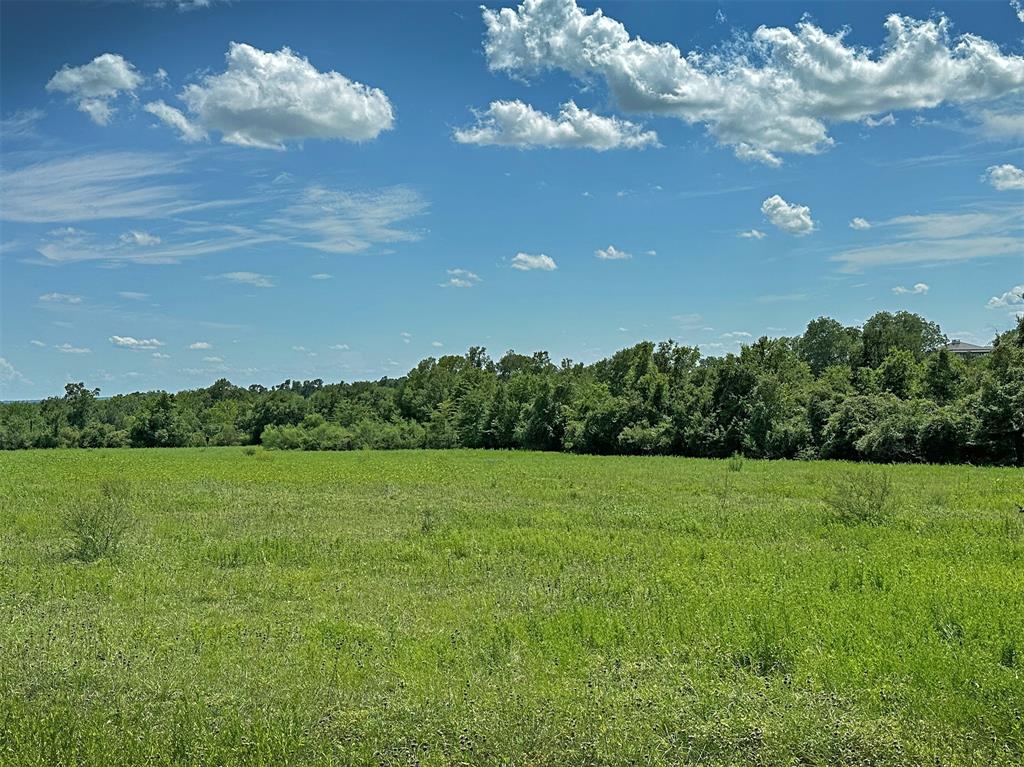 - Heinecke Road, Washington, Texas image 9