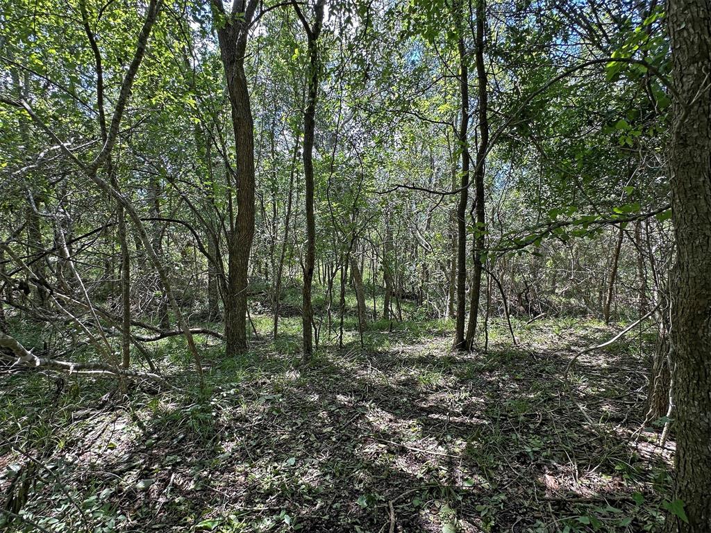 - Heinecke Road, Washington, Texas image 13