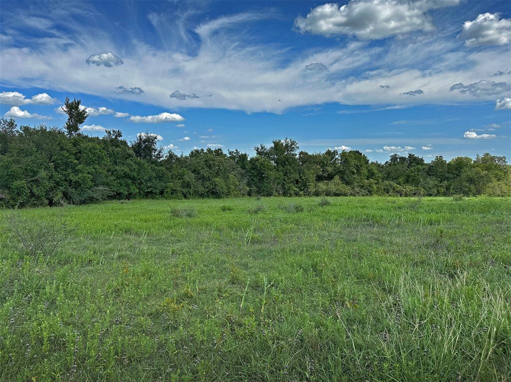 - Heinecke Road, Washington, Texas image 23