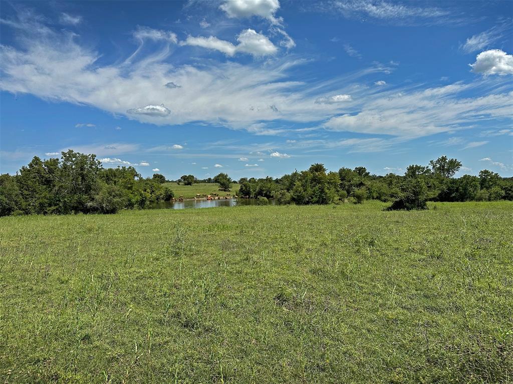- Heinecke Road, Washington, Texas image 5