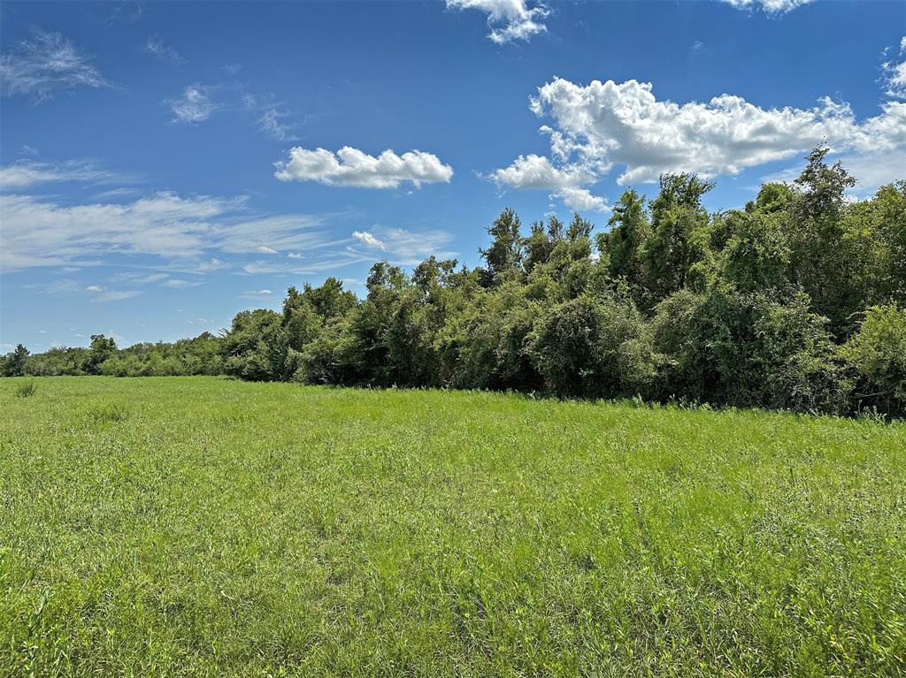 - Heinecke Road, Washington, Texas image 16