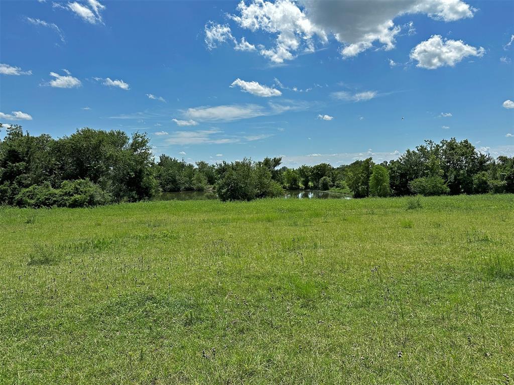 - Heinecke Road, Washington, Texas image 6