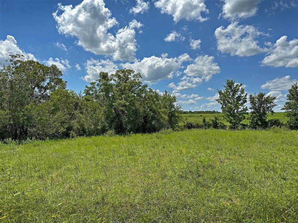 - Heinecke Road, Washington, Texas image 17