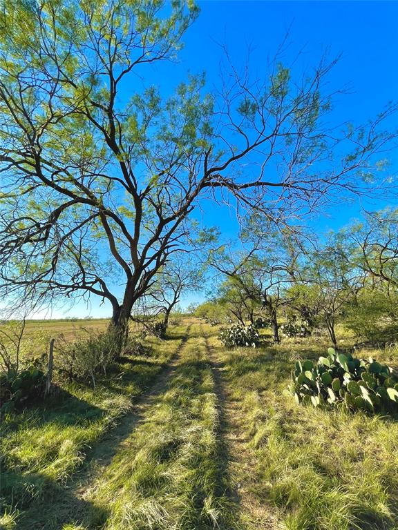 1000 Cr 116, Ballinger, Texas image 11