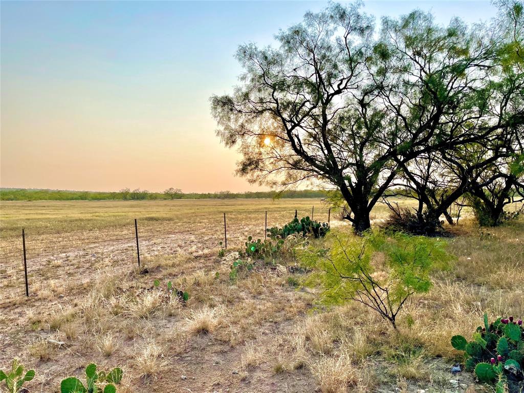 1000 Cr 116, Ballinger, Texas image 26