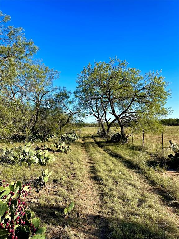 1000 Cr 116, Ballinger, Texas image 10