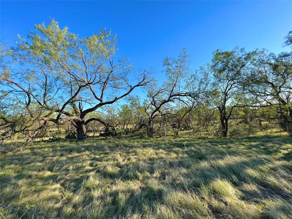 1000 Cr 116, Ballinger, Texas image 16