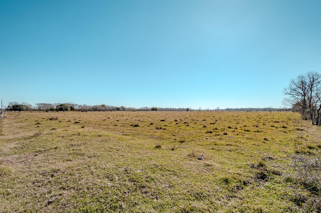 TBD County Road 605 Sawmill Road, Dayton, Texas image 10