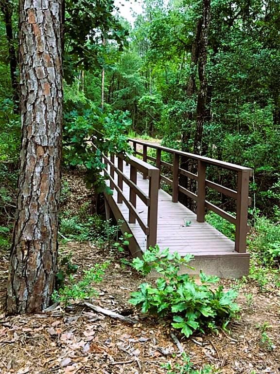 5-27-3 Feldspar Lane, Huntsville, Texas image 10