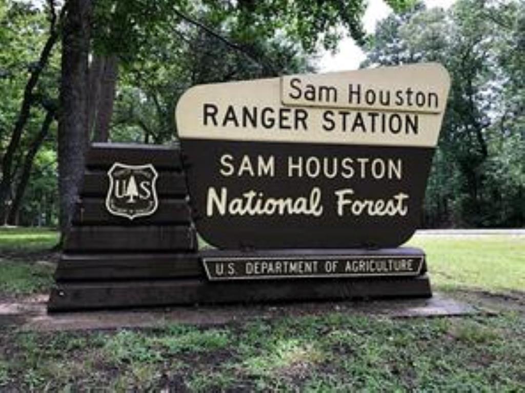 5-27-3 Feldspar Lane, Huntsville, Texas image 11