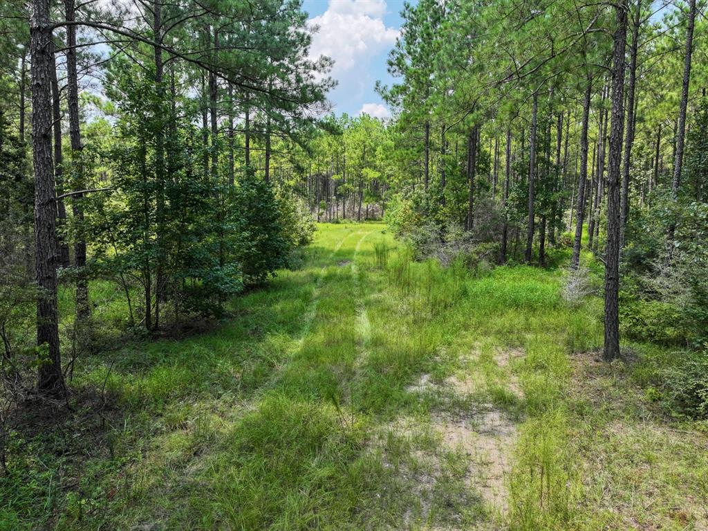 0001 Fm 352, Corrigan, Texas image 9