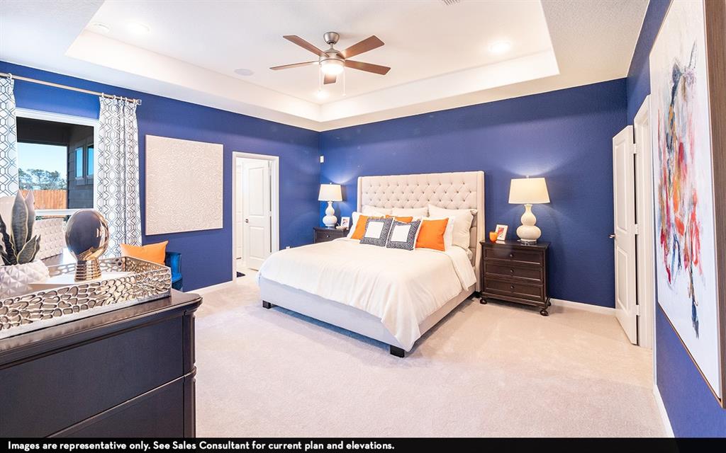 2815 Obsidian Drive, Iowa Colony, Texas image 11