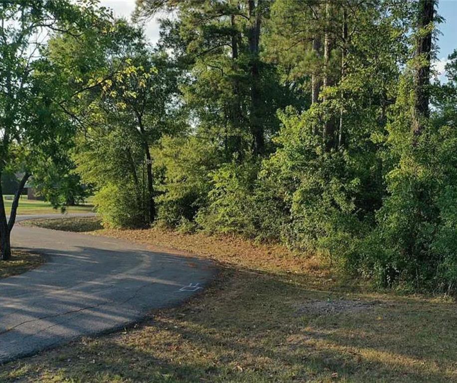 4 Monroe Court, Conroe, Texas image 7