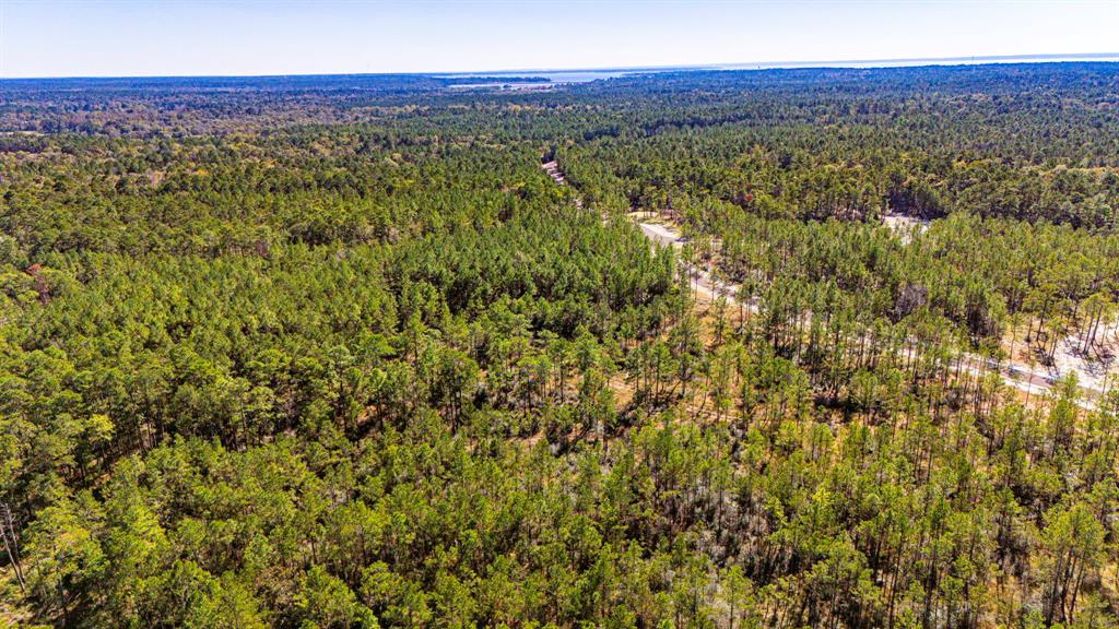 0311 Magnolia Ranch Road Road, Onalaska, Texas image 12