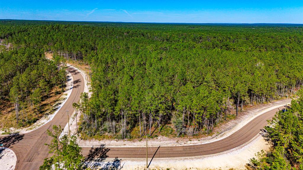 0311 Magnolia Ranch Road Road, Onalaska, Texas image 6