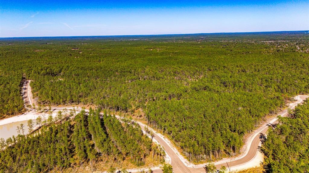 0311 Magnolia Ranch Road Road, Onalaska, Texas image 8