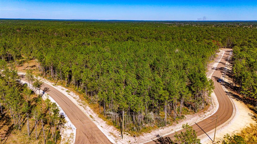 0311 Magnolia Ranch Road Road, Onalaska, Texas image 7