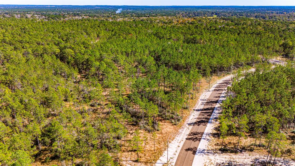 0311 Magnolia Ranch Road Road, Onalaska, Texas image 9