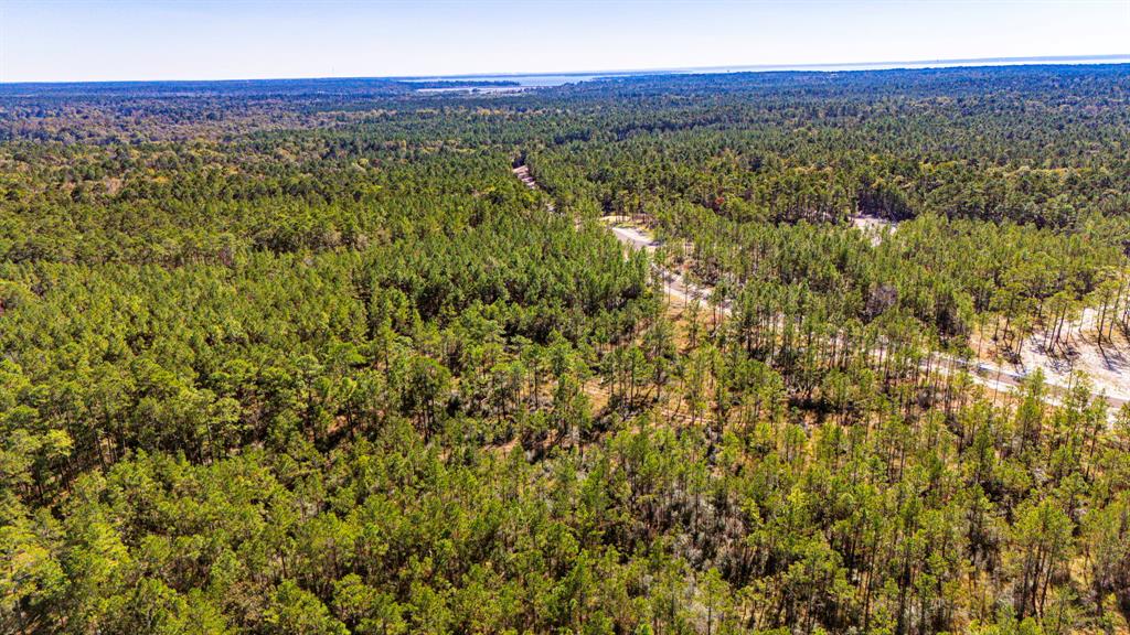 0311 Magnolia Ranch Road Road, Onalaska, Texas image 11