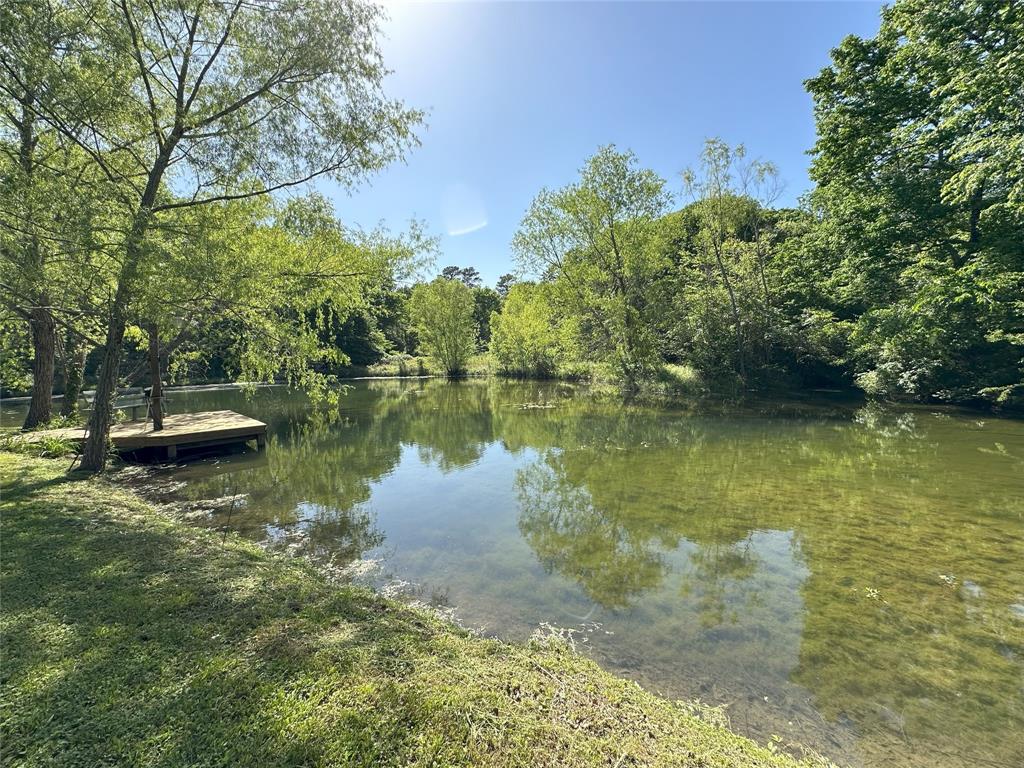 24394 Gay Lake Road, Montgomery, Texas image 46