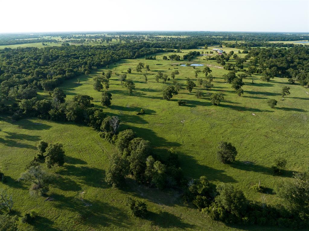 19585 Fm 2620, Bedias, Texas image 3