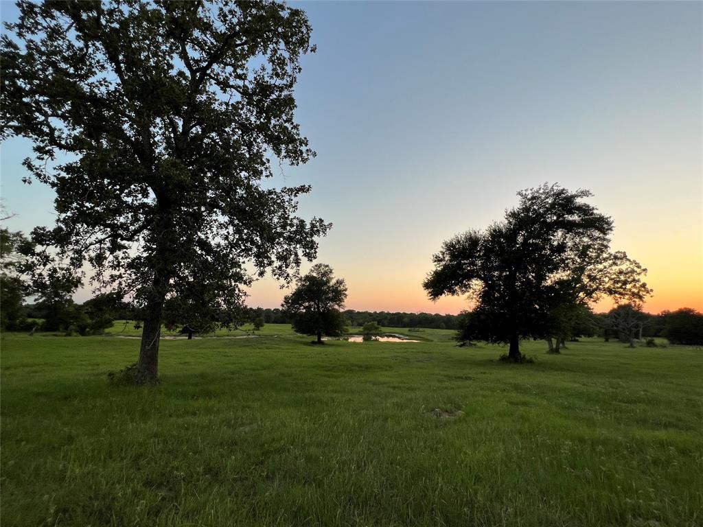 19585 Fm 2620, Bedias, Texas image 8