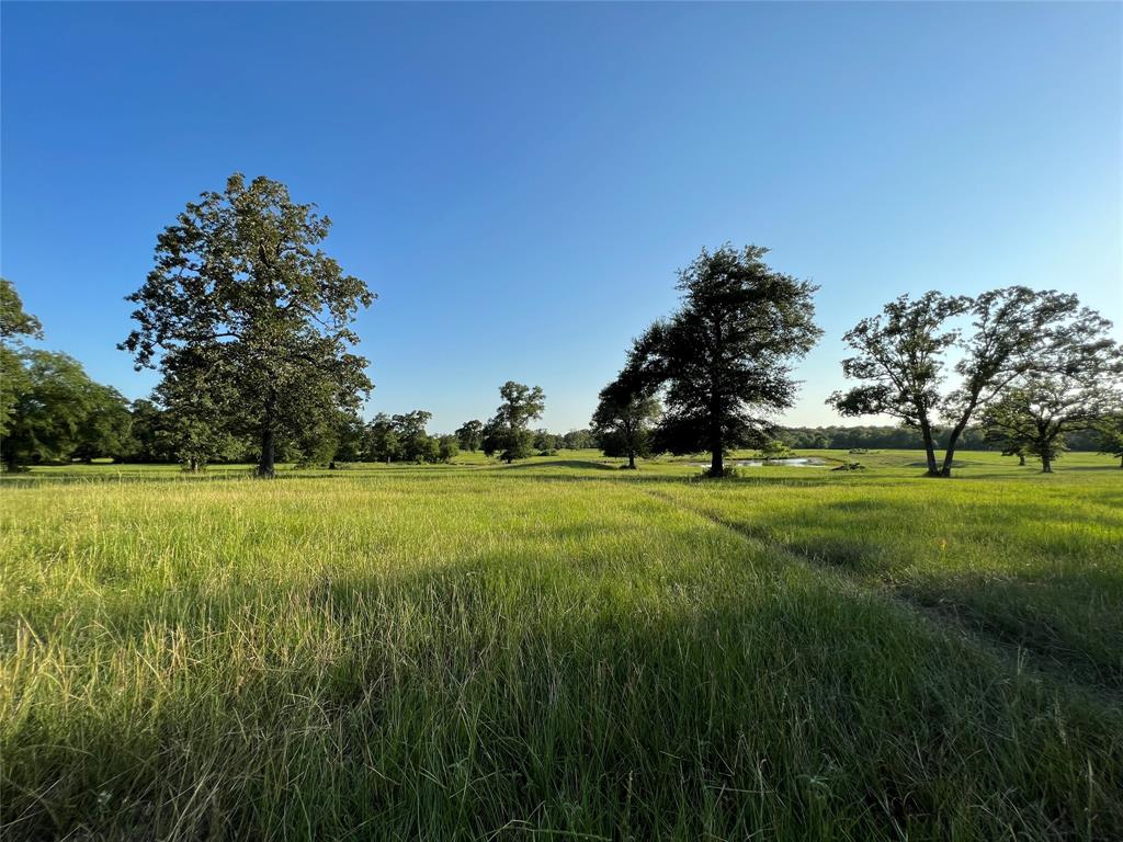 19585 Fm 2620, Bedias, Texas image 17