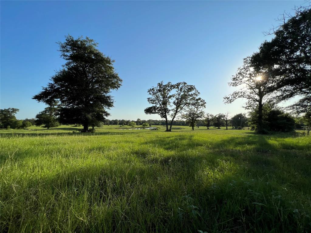 19585 Fm 2620, Bedias, Texas image 6